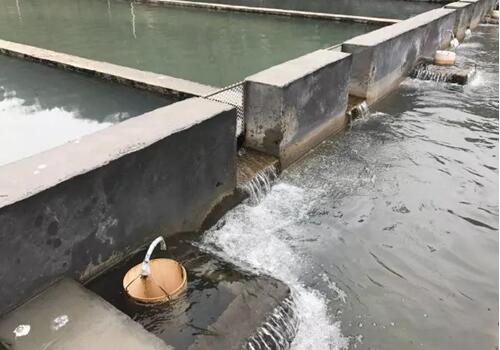 怎么养鱼塘才清澈 20180330074923_34238.jpg